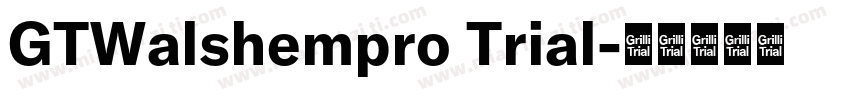 GTWalshempro Trial字体转换